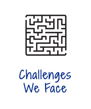 Challenges We Face